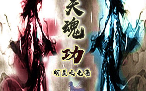 小说《九星天魂功》全文免费阅读