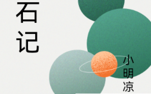 在线阅读小说免费资源《玉石记》