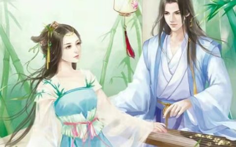 王晋元宝《仙壶》免费阅读完整版