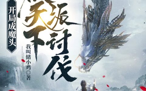 哪里可以看小说李长风我叫储小鸡？