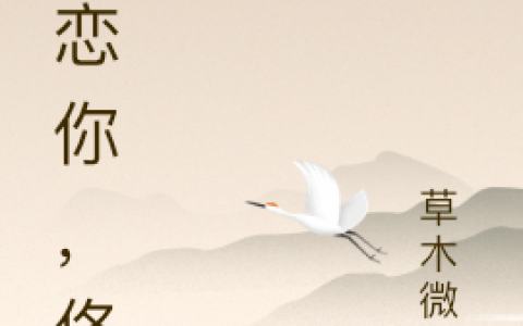 迷恋你，佟画佟画苏迪在线阅读