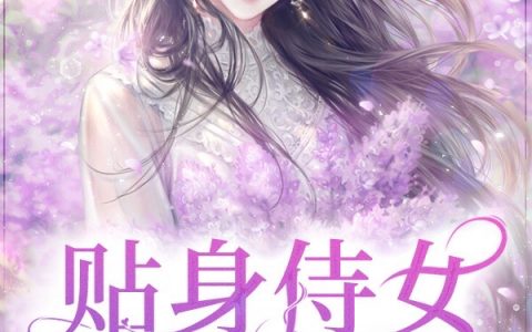 (贴身侍女在七零)师知画陆海_《贴身侍女在七零》整本免费阅读