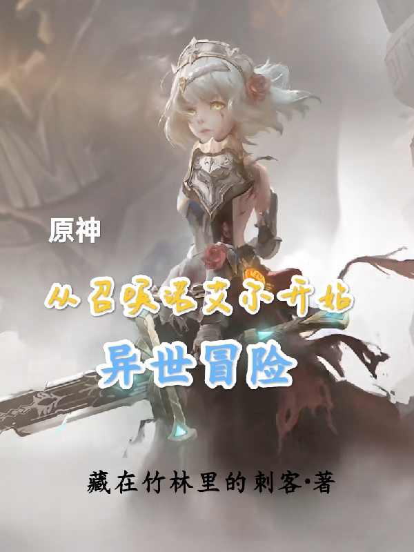 原神:从召唤诺艾尔开始异世冒险