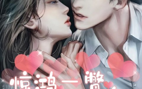 (惊鸿一瞥，终是你)(苏泽陈末)_(惊鸿一瞥，终是你)整本阅读