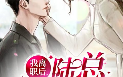 我离职后，陆总人设崩了姜意陆遇之小说免费