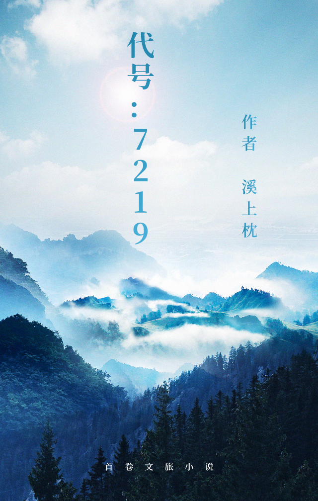 代号:7219