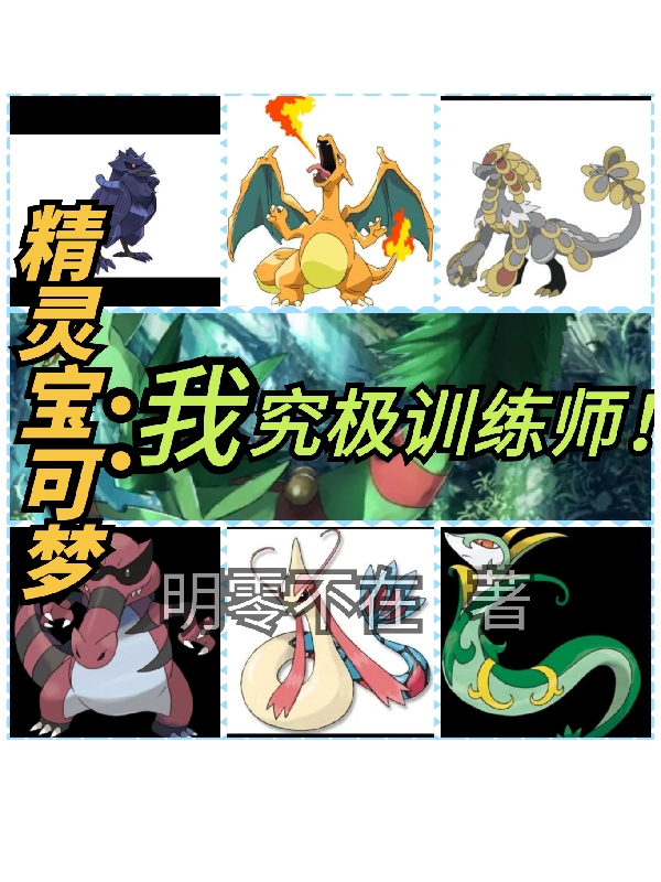 精灵宝可梦:我,究极训练师