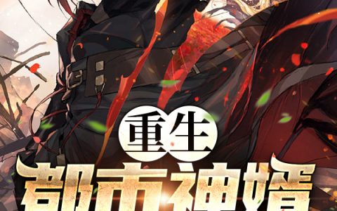 重生都市神婿全文章节在线阅读_男主苏启皓女主萧莲儿全本目录免费阅读
