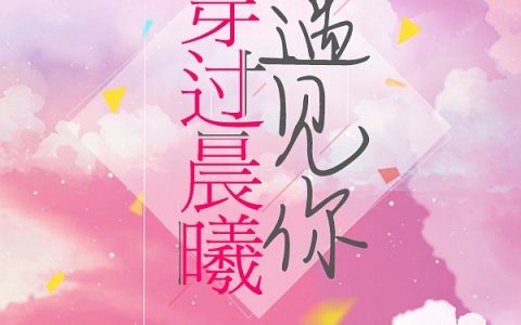 穿过晨曦遇见你全文章节免费阅读_(沈东曦苏霁晓)全文阅读