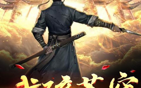 小说王宣楚云主角