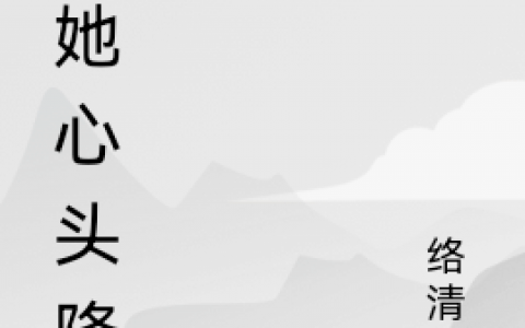 主角叫许栖霖林忆的小说叫什么？
