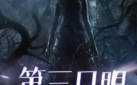 第三只眼.完整版笔趣阁雁安歌新暖