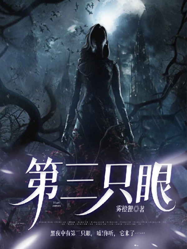 第三只眼.