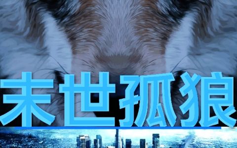 吴东wdd东末世孤狼_末世孤狼全文阅读-笔趣阁