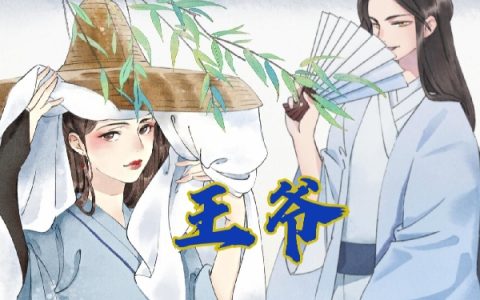 小说全文章节免费阅读苏时安江挽昕