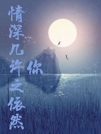 情深几许之依然是你