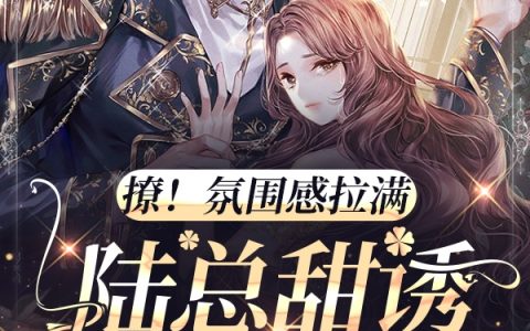 《撩！氛围感拉满，陆总甜诱生二胎》陆盛霆乔时恩全文小说_《撩！氛围感拉满，陆总甜诱生二胎》最新章节列表-笔趣阁