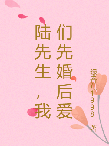 陆先生,我们先婚后爱