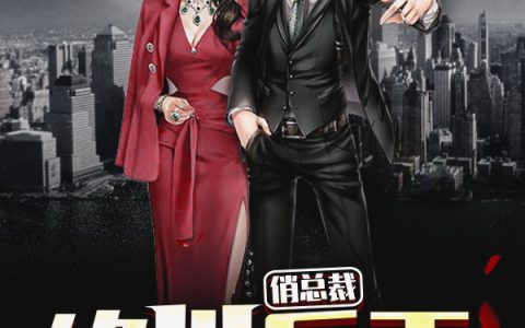(华风周晓洁)绝世兵王俏总裁-(华风周晓洁)全文小说