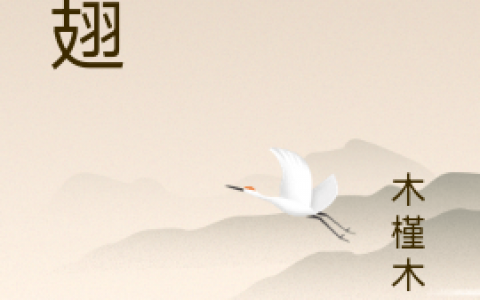 苏眠眠许烨《半翅》_《半翅》全章节阅读