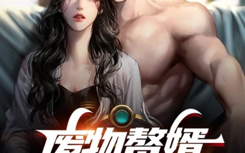 叶城张婷《废物赘婿向众人摊牌了》全文章节免费阅读
