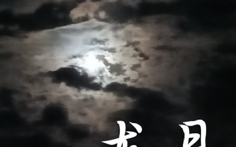沙如雪月寒龙月在线资源