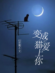 变成猫爱上你