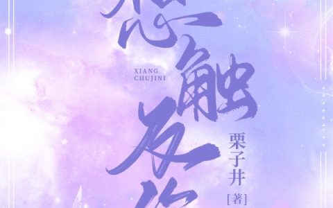 (想触及你)周觅十陆贺九_(想触及你)热门小说