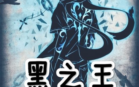 黑之王(符夜逆天启)_(黑之王)精彩小说