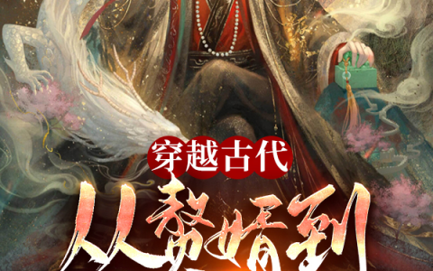 叶城苏沐岚《穿越古代：从赘婿到千古一帝》_叶城苏沐岚全章节免费阅读