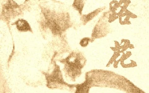 米华乔米璐《迷路花》_(米华乔米璐)全本阅读