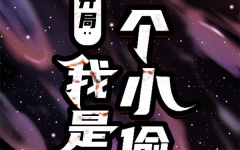 《开局：我是一个小偷》王析辰傍晚夕阳_《开局：我是一个小偷》全本在线阅读