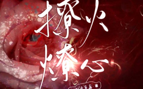 《撩火燎心》苏棠梨傅清辞全本在线阅读_苏棠梨傅清辞全章节免费阅读