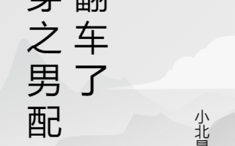 《快穿之男配又翻车了》方顾何际完结版免费在线阅读_(方顾何际)全集在线阅读
