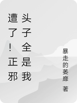 糟了!正邪头子全是我