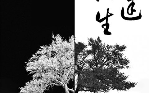 俞拾柒百里瑾全文免费阅读_陌途往生全文章节免费阅读
