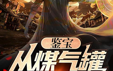 穆诚唐嫣然全文章节免费阅读_鉴宝：从煤气罐开始全文章节免费阅读