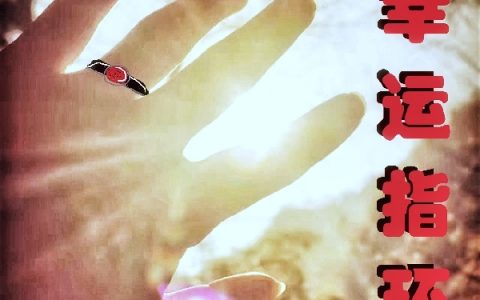 (林坚冬瓜爱菠萝)幸运指环全文免费阅读_幸运指环全本目录免费阅读