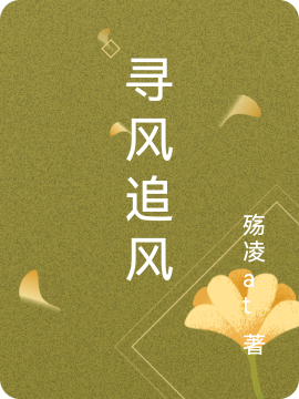 寻风追风