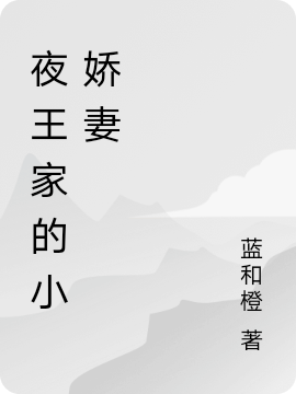 夜王家的小娇妻