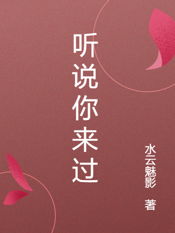 听说你来过