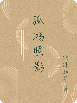 孤鸿照影