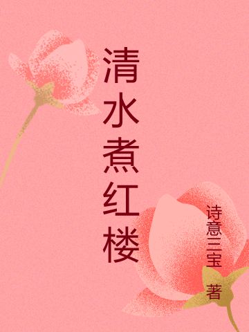 清水煮红楼