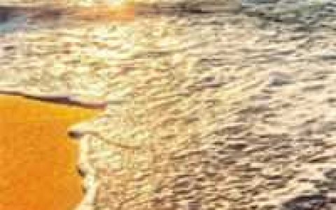 狄仪楚淮(第一侦探事务所)完结版免费在线阅读_(狄仪楚淮)最新章节在线阅读