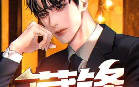 藏锋（陆渐红安然）全文免费阅读无弹窗大结局_藏锋最新章节列表