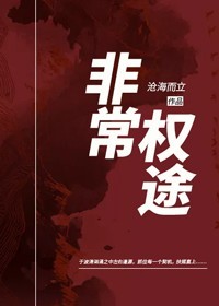非常权途非常权途