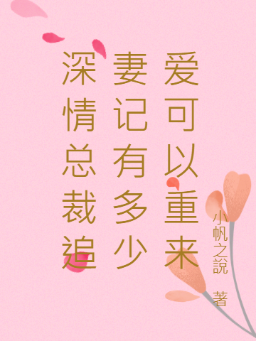 深情总裁追妻记有多少爱可以重来