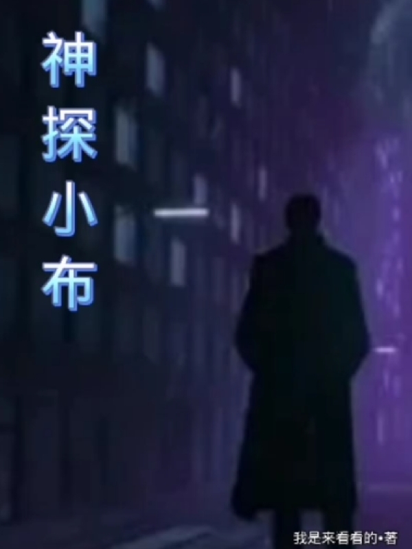 神探小布
