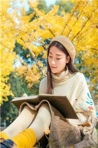 江湖儿女全集小说完整版免费在线阅读，包含(许一章子萱)_许一章子萱故事