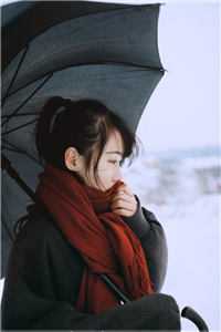 最新免费小说背叛推理：完美妻子背后的秘密(何凡萧芸儿)_背叛推理：完美妻子背后的秘密何凡萧芸儿完结免费小说
